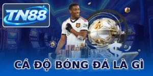 Cá Độ Bóng Đá Là Gì? Khái Niệm Dành Cho Người Mới Bắt Đầu