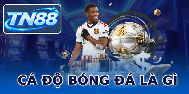 Cá Độ Bóng Đá Là Gì? Khái Niệm Dành Cho Người Mới Bắt Đầu