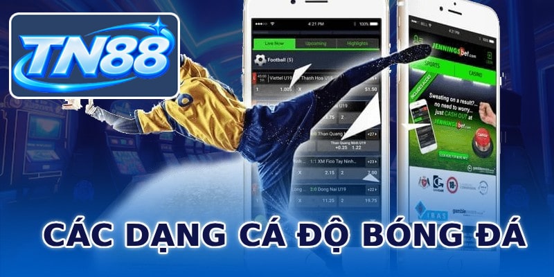 Các dạng cá độ bóng đá