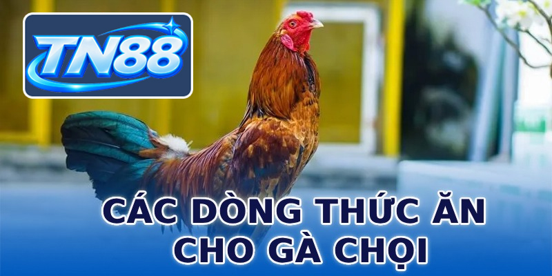 Các dòng thức ăn cho gà chọi