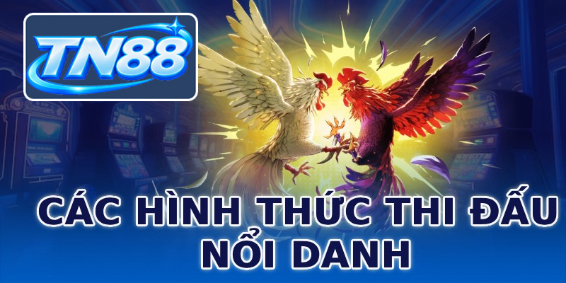 Các hình thức thi đấu nổi danh