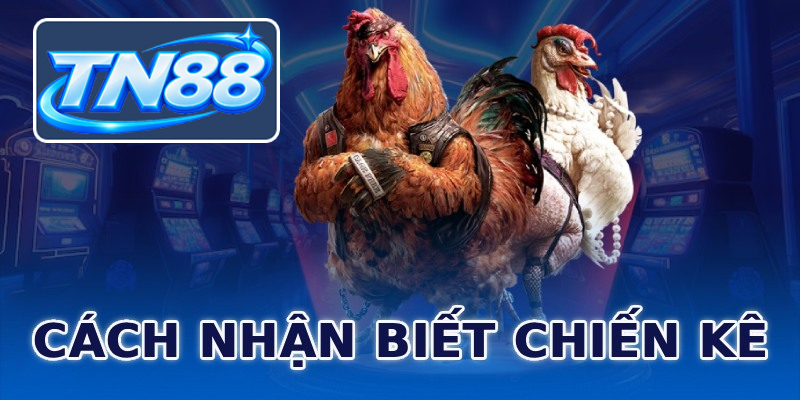 Cách nhận biết chiến kê