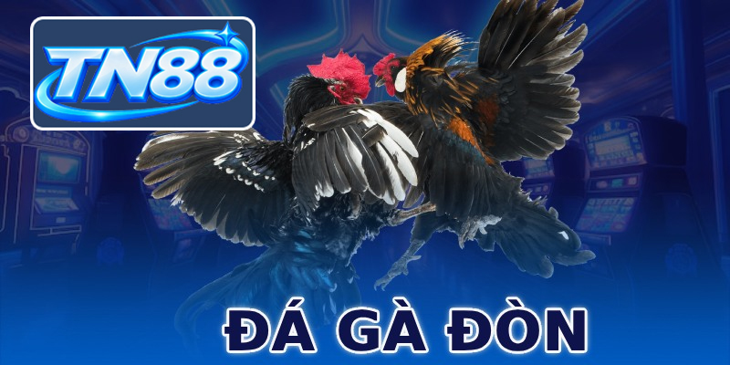 Đá Gà Đòn ⭐️ Kinh Nghiệm Chơi, Mẹo Thắng Cược Dễ Áp Dụng