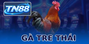 Gà Tre Thái ⭐️ Tuyệt Chiêu Cá Cược Dành Cho Dân Chuyên