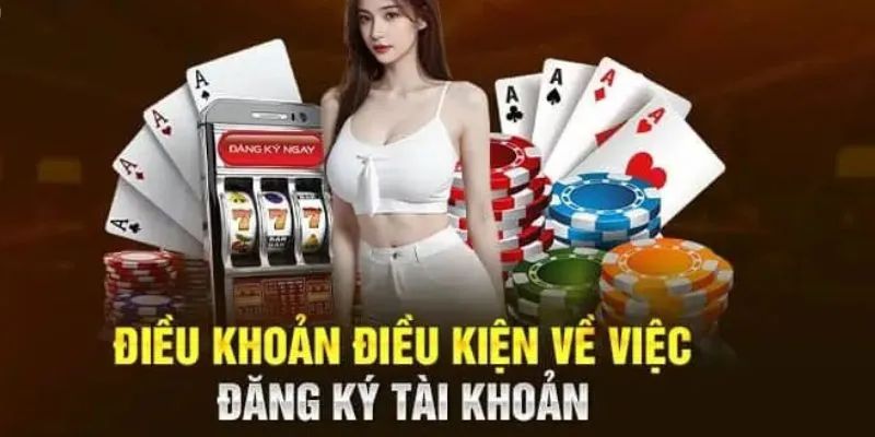 Giới thiệu điều khoản điều kiện