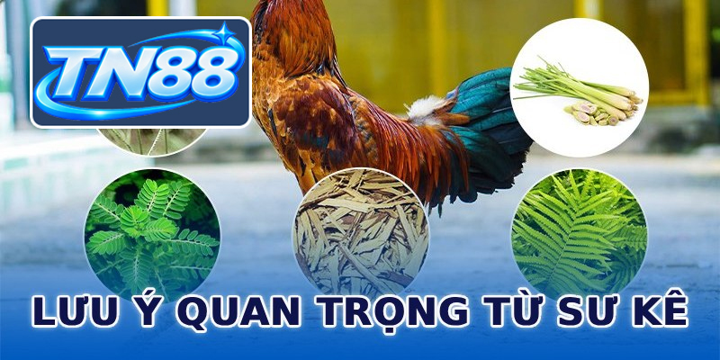 Lưu ý quan trọng từ sư kê