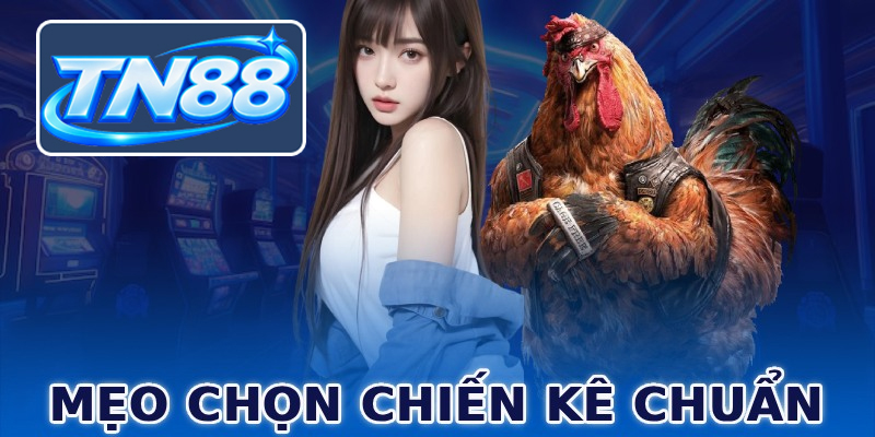 Mẹo chọn chiến kê chuẩn