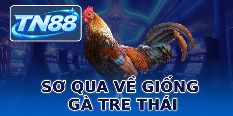 Sơ qua về giống gà tre Thái